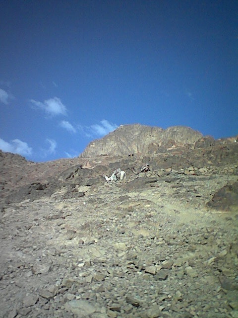 Mt. Sinai