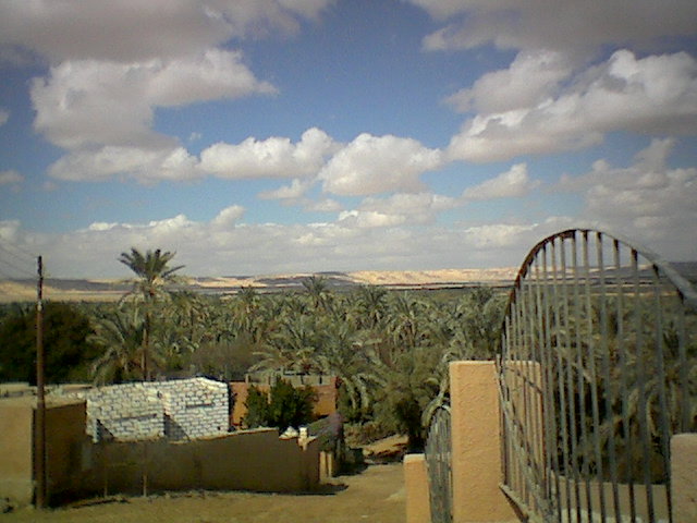 View of Bawiti