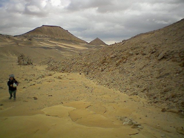 Picnic spot