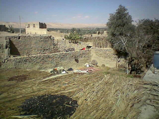 View from Naglaa's roof