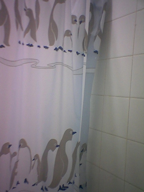 Penguin curtain