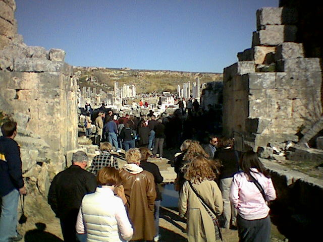 Looking through the gate