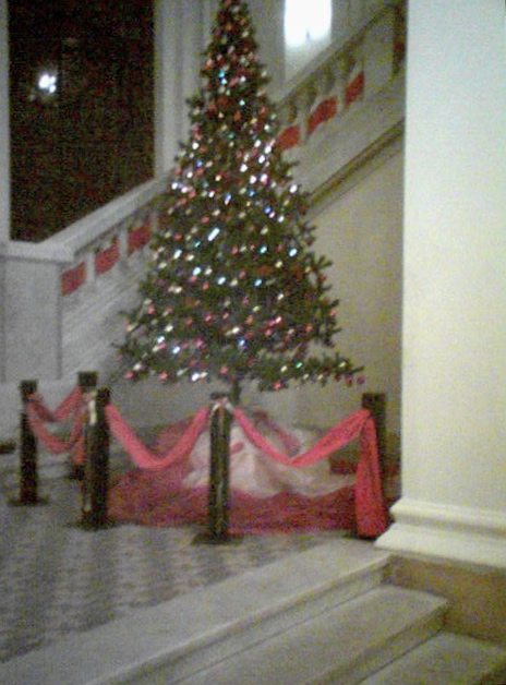 St. Mark's tree