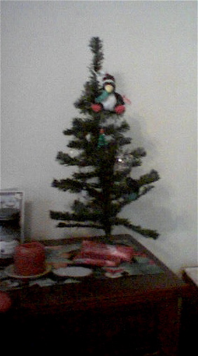 My tree